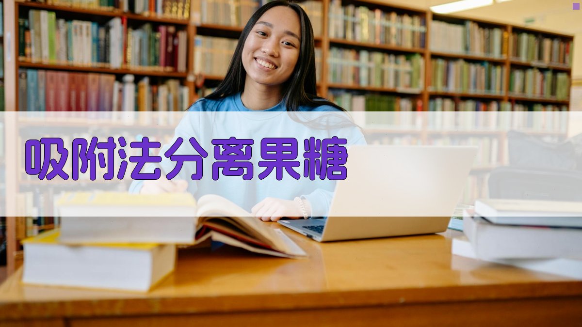 AI吸附法分离果糖工艺设计