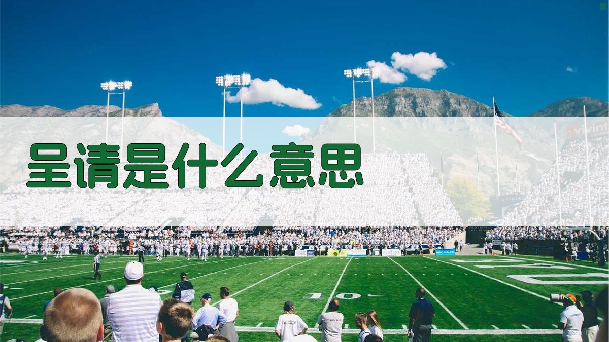 呈请是什么意思