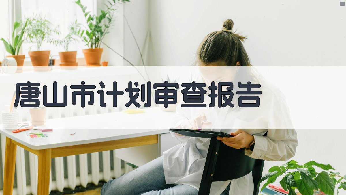 唐山市计划审查报告