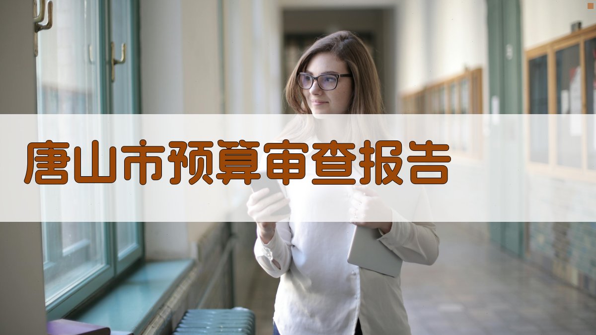 AI唐山市预算审查报告生成器