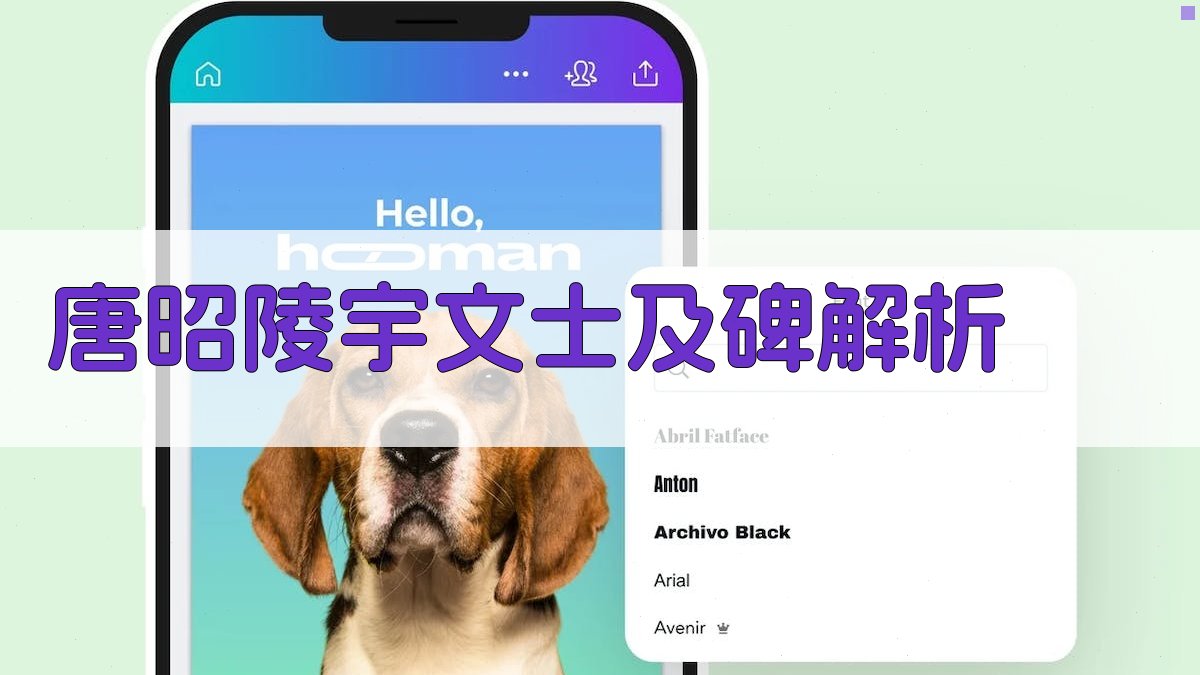 唐昭陵宇文士及碑解析