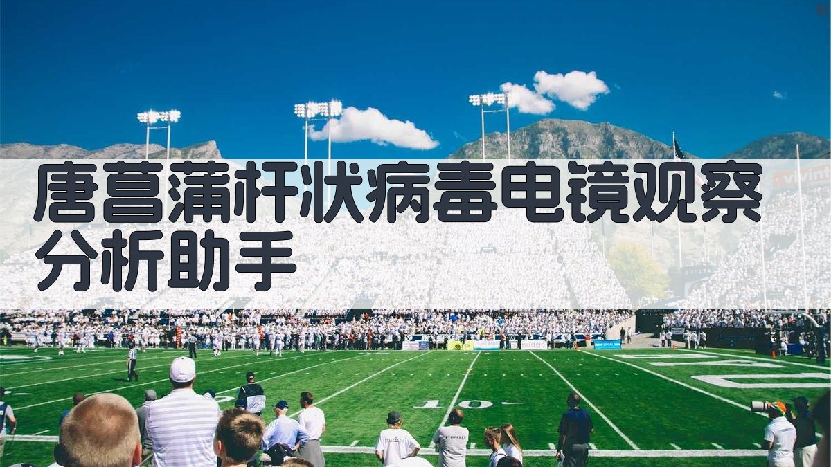 唐菖蒲杆状病毒电镜观察分析助手