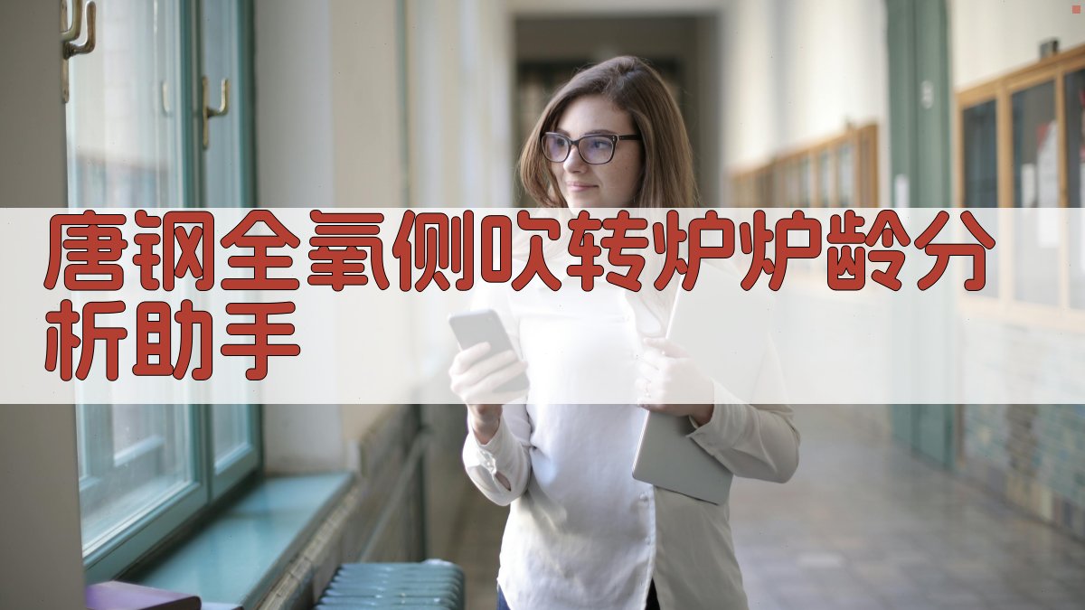 唐钢全氧侧吹转炉炉龄分析助手