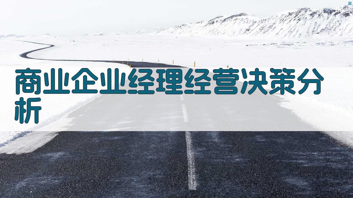 商业企业经理经营决策分析