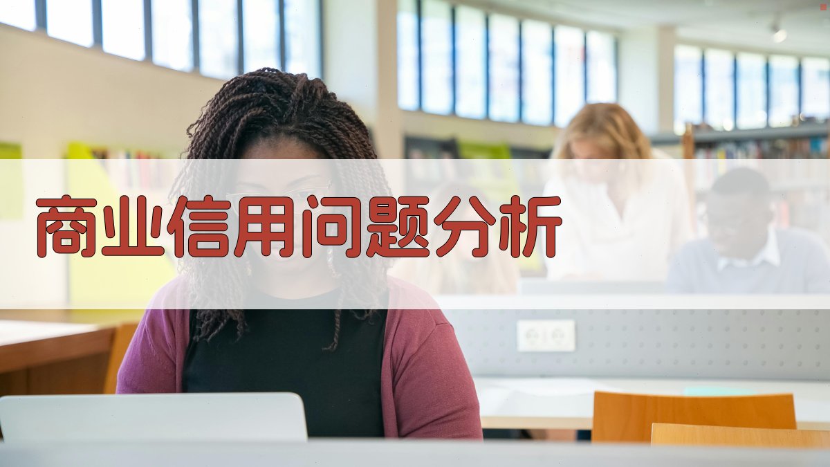 商业信用问题分析