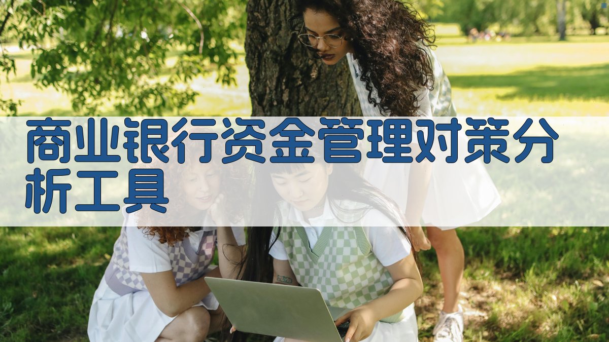 AI商业银行资金管理对策分析工具