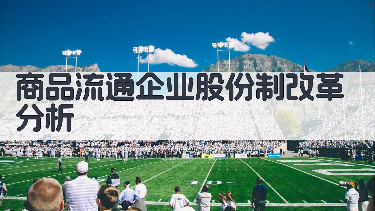 商品流通企业股份制改革分析