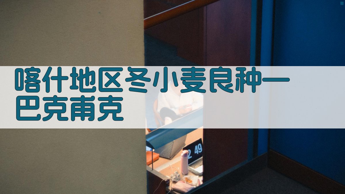 喀什地区冬小麦良种—巴克甫克