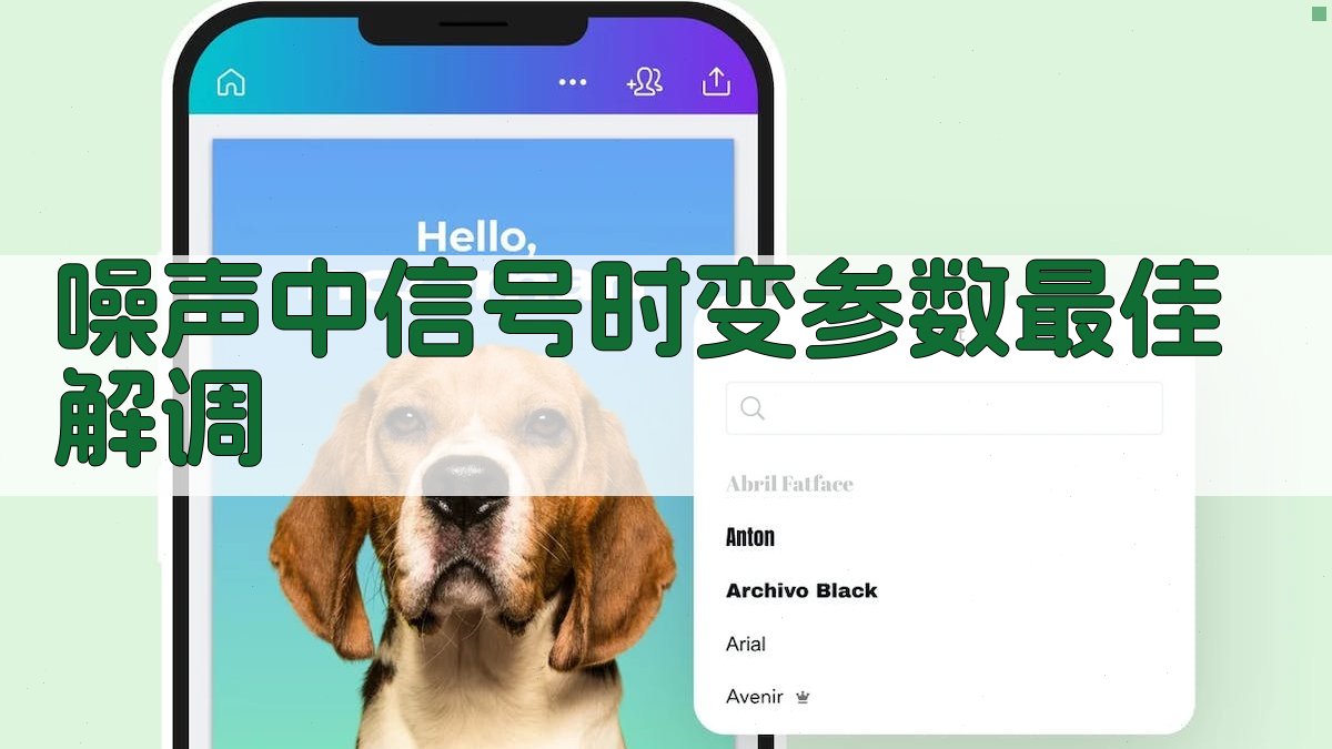 噪声中信号时变参数最佳解调