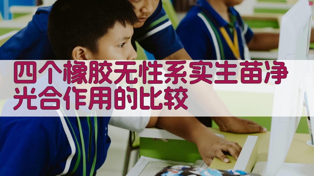 橡胶无性系光合作用分析