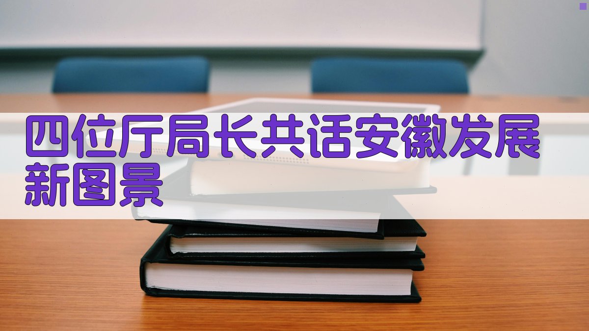 四位厅局长共话安徽发展新图景