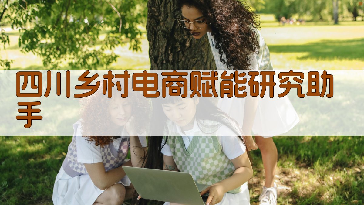 四川乡村电商赋能研究助手