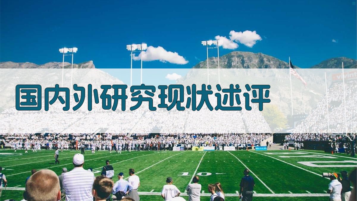 AI一键生成国内外研究现状述评