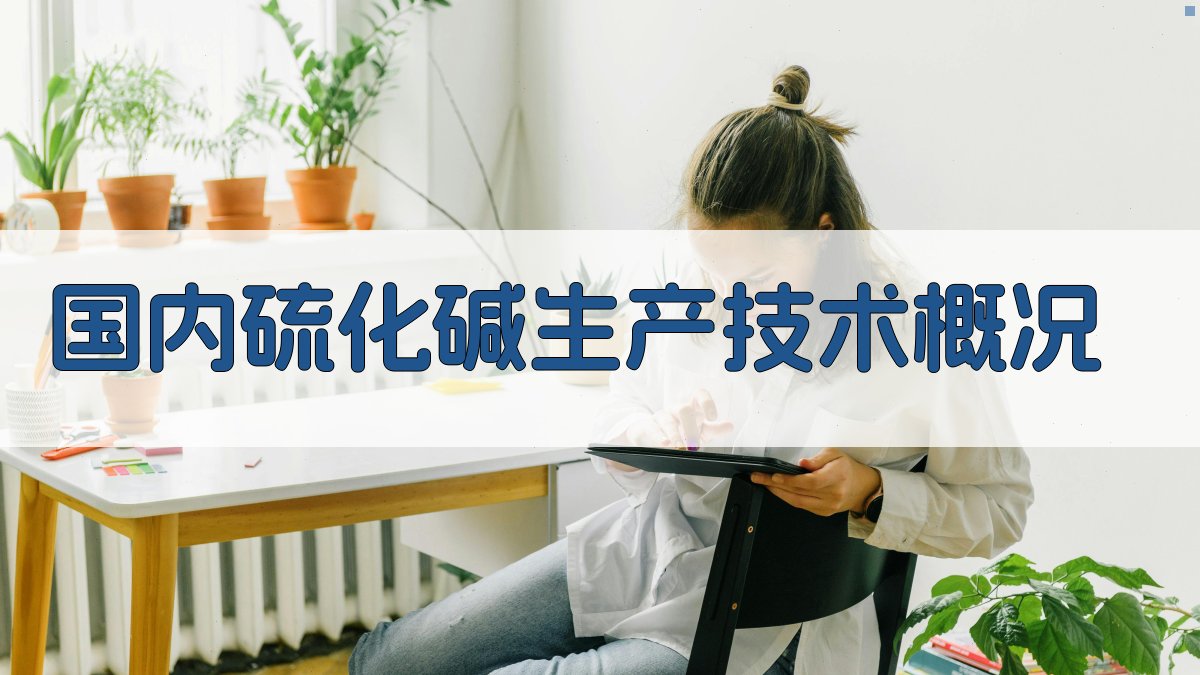 国内硫化碱生产技术概况