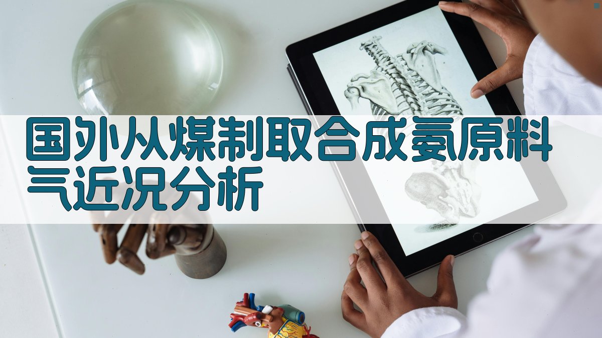 国外从煤制取合成氨原料气近况分析