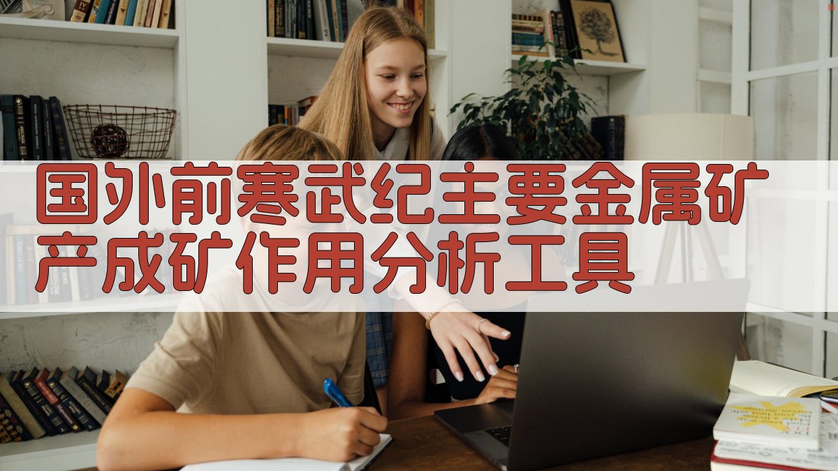 国外前寒武纪主要金属矿产成矿作用分析工具