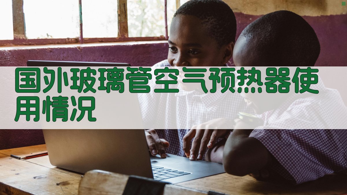 AI分析国外玻璃管空气预热器使用情况