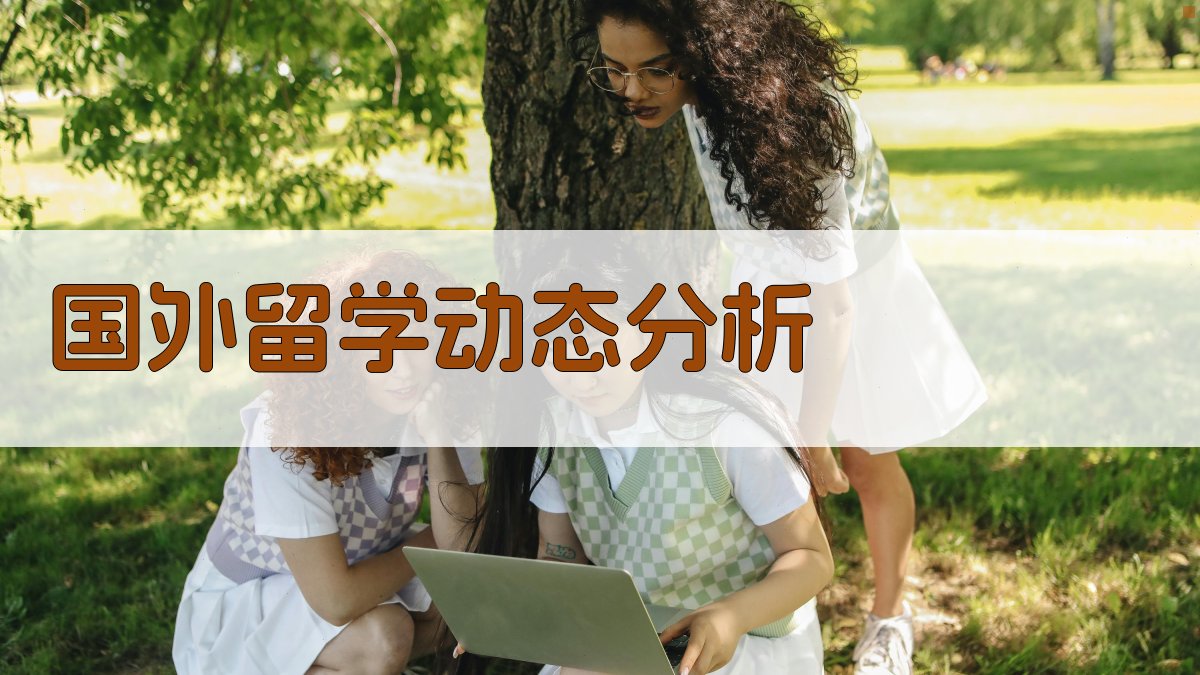 AI国外留学动态分析工具