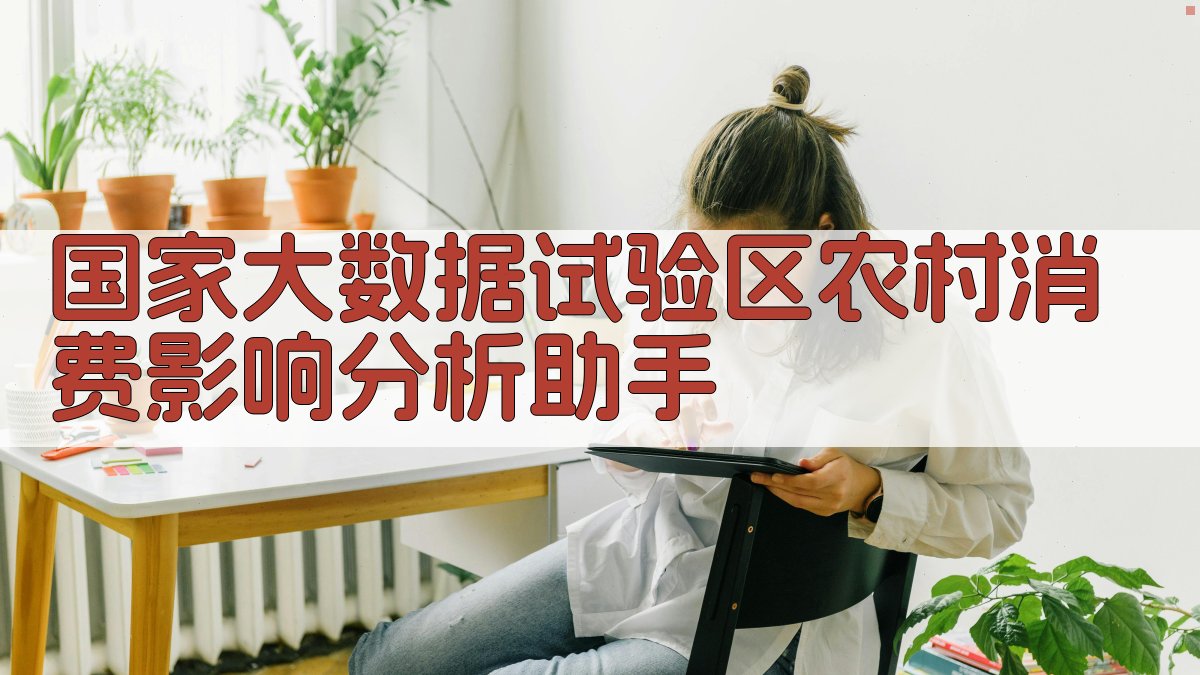 AI农村消费影响分析助手