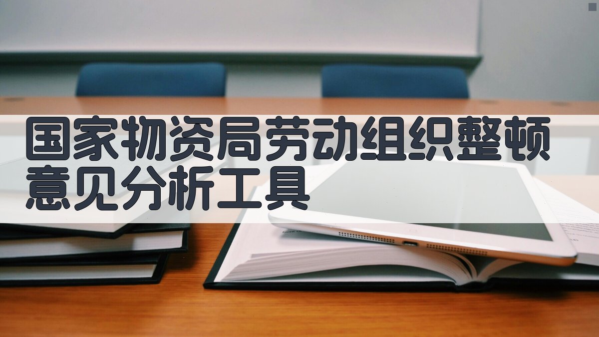 国家物资局劳动组织整顿意见分析工具