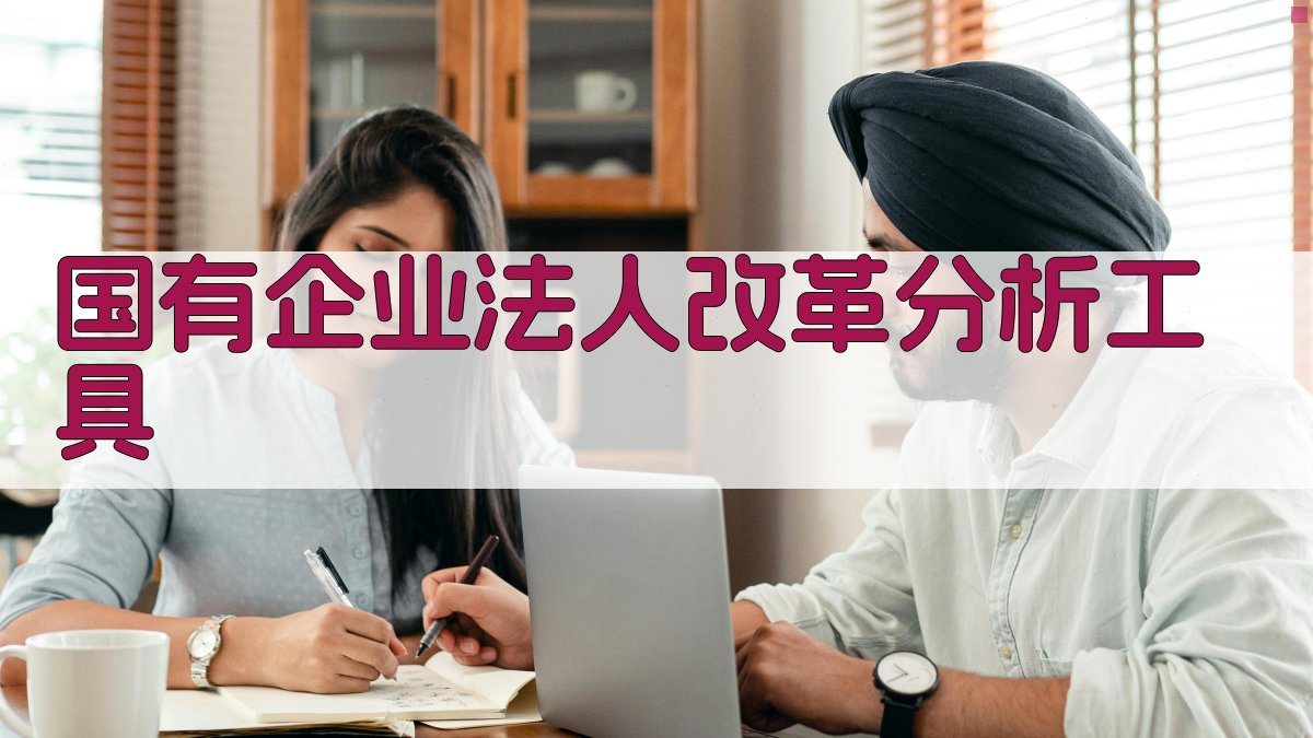 国有企业法人改革分析工具