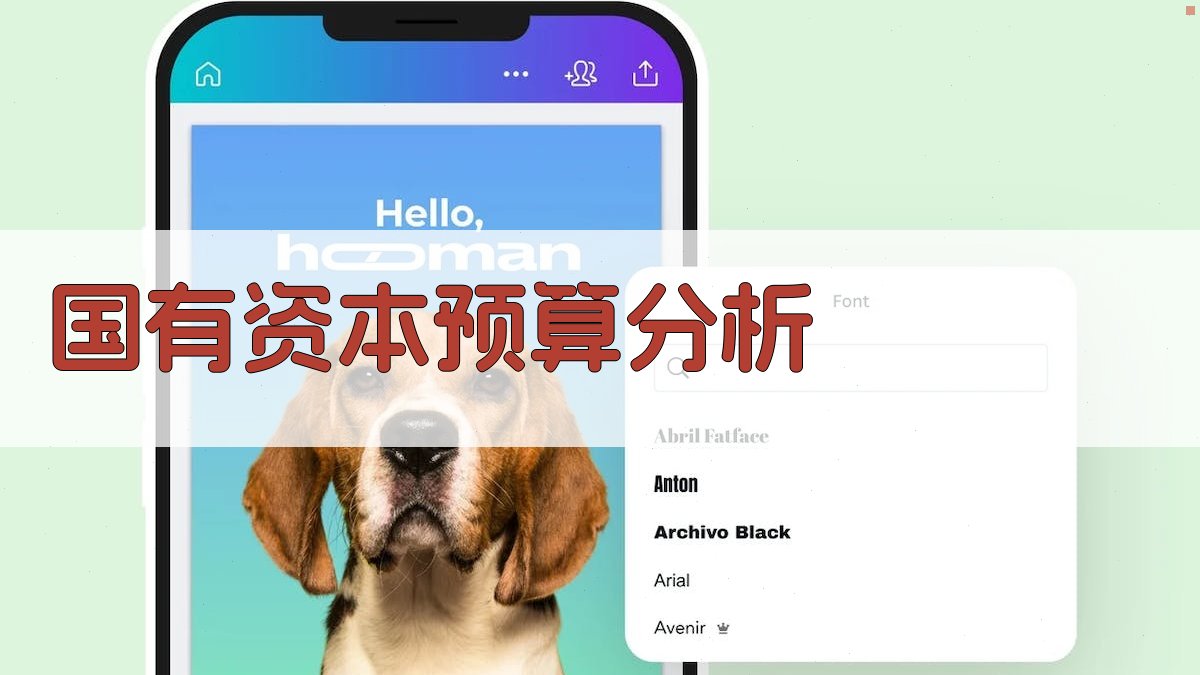 国有资本经营预算绩效分析