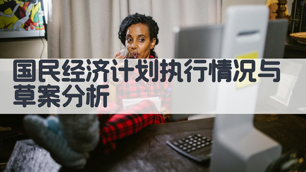 AI国民经济计划执行情况与草案分析