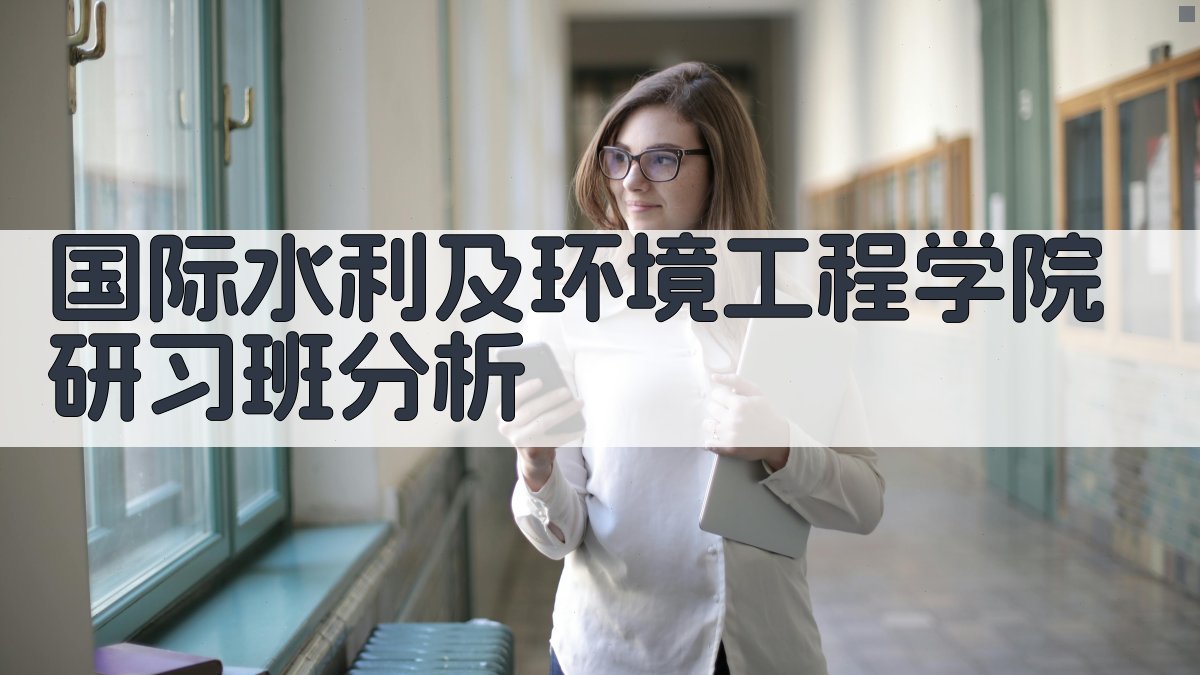 国际水利及环境工程学院研习班分析工具