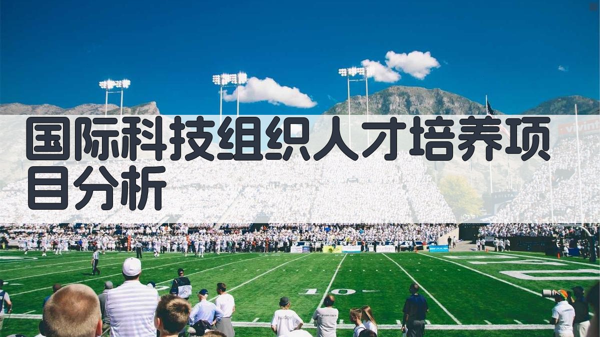 AI国际科技组织人才培养项目分析