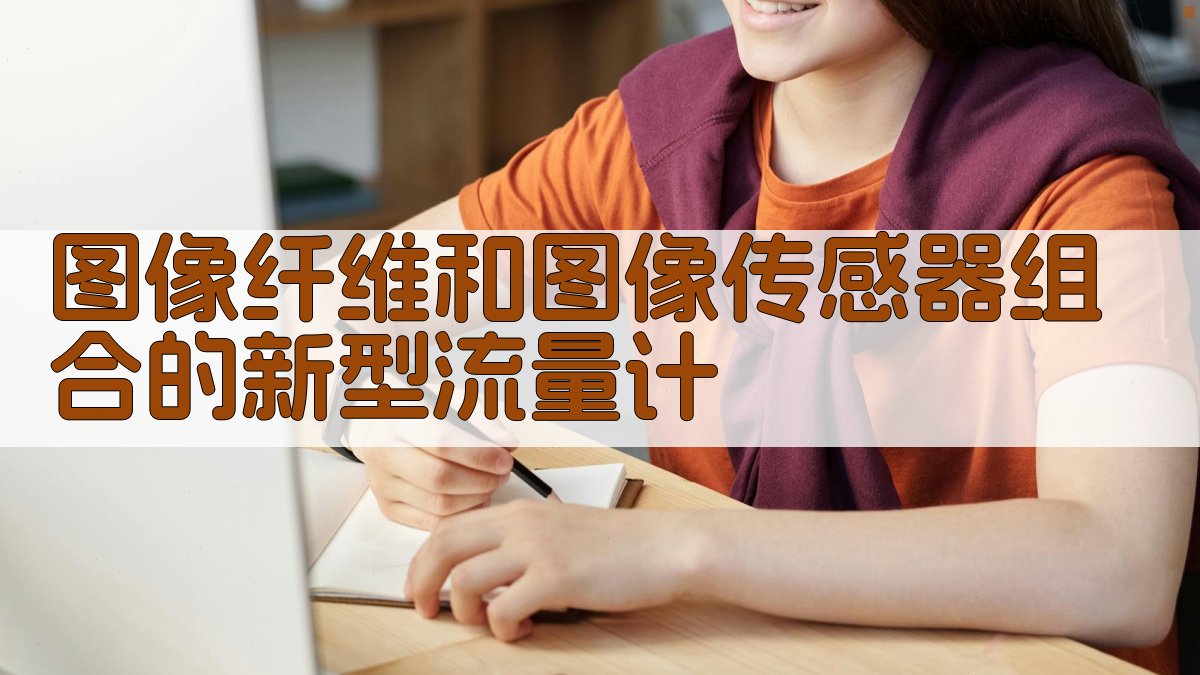 图像纤维和图像传感器组合的新型流量计