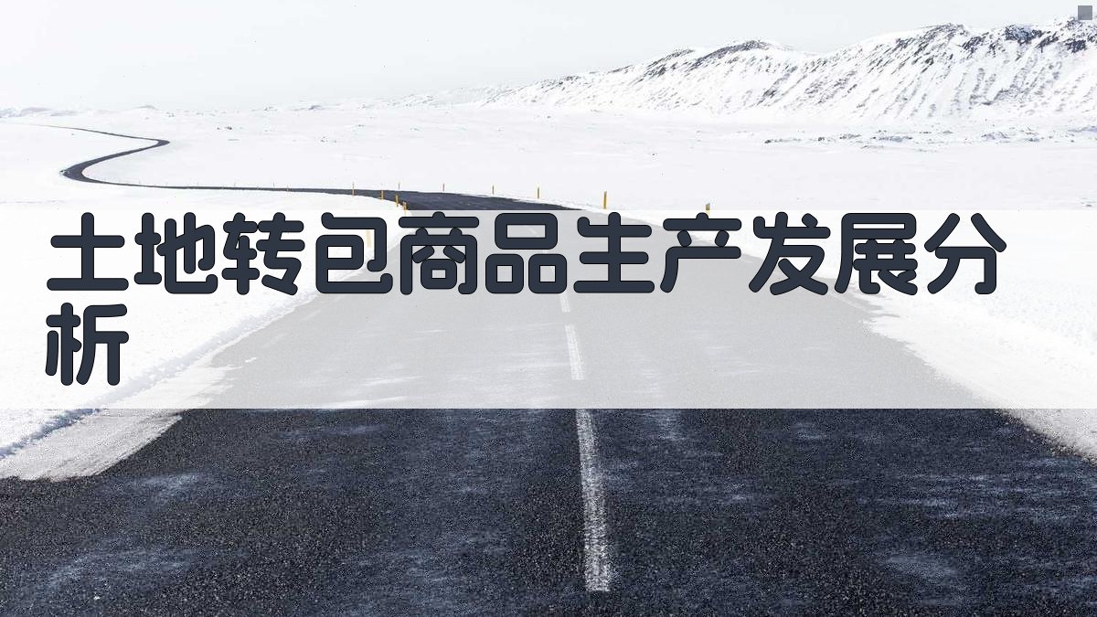 土地转包商品生产发展分析