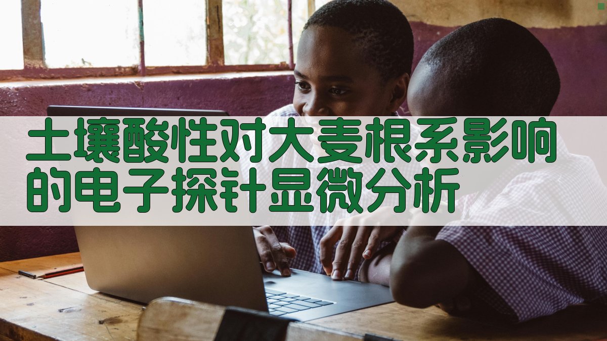 土壤酸性对大麦根系影响的电子探针显微分析