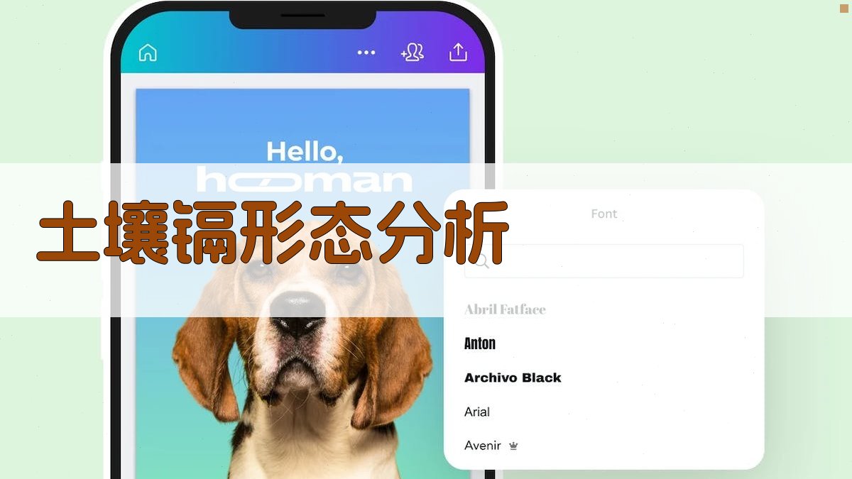 土壤镉形态分析工具