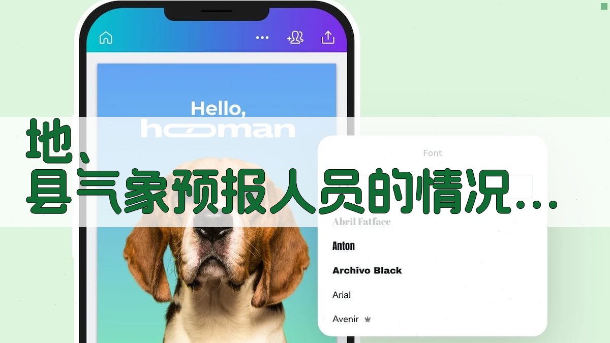 AI地、县气象预报人员情况分析