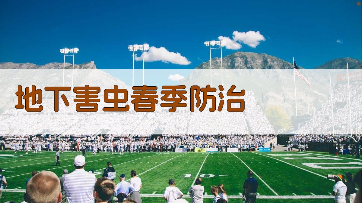 AI智能地下害虫春季防治方案生成器