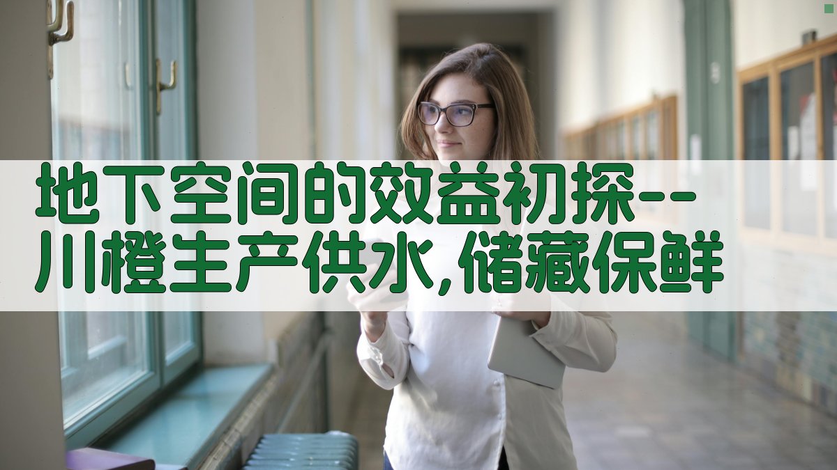 地下空间效益分析