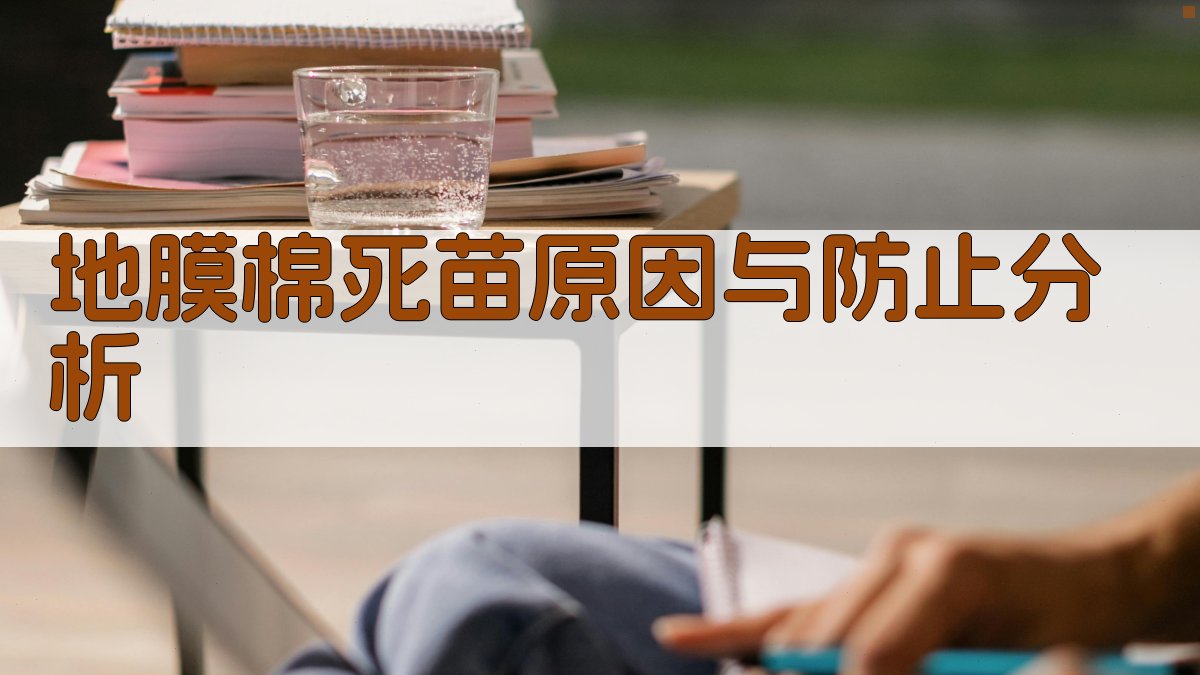 地膜棉死苗原因与防止分析