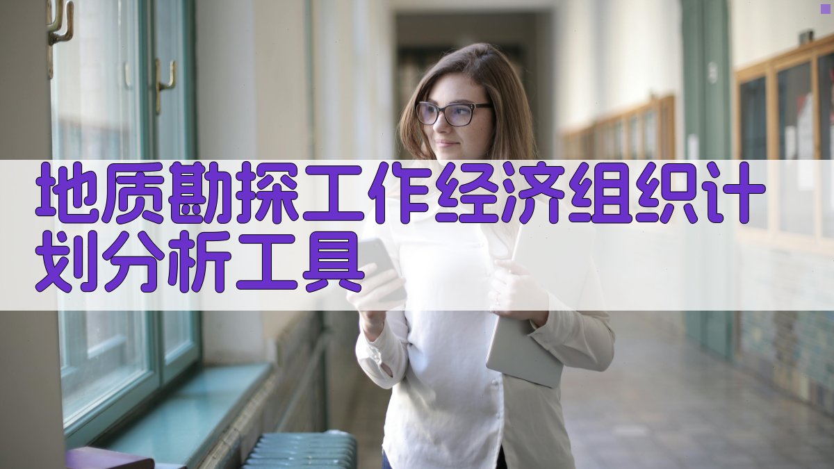 地质勘探工作经济组织计划分析工具