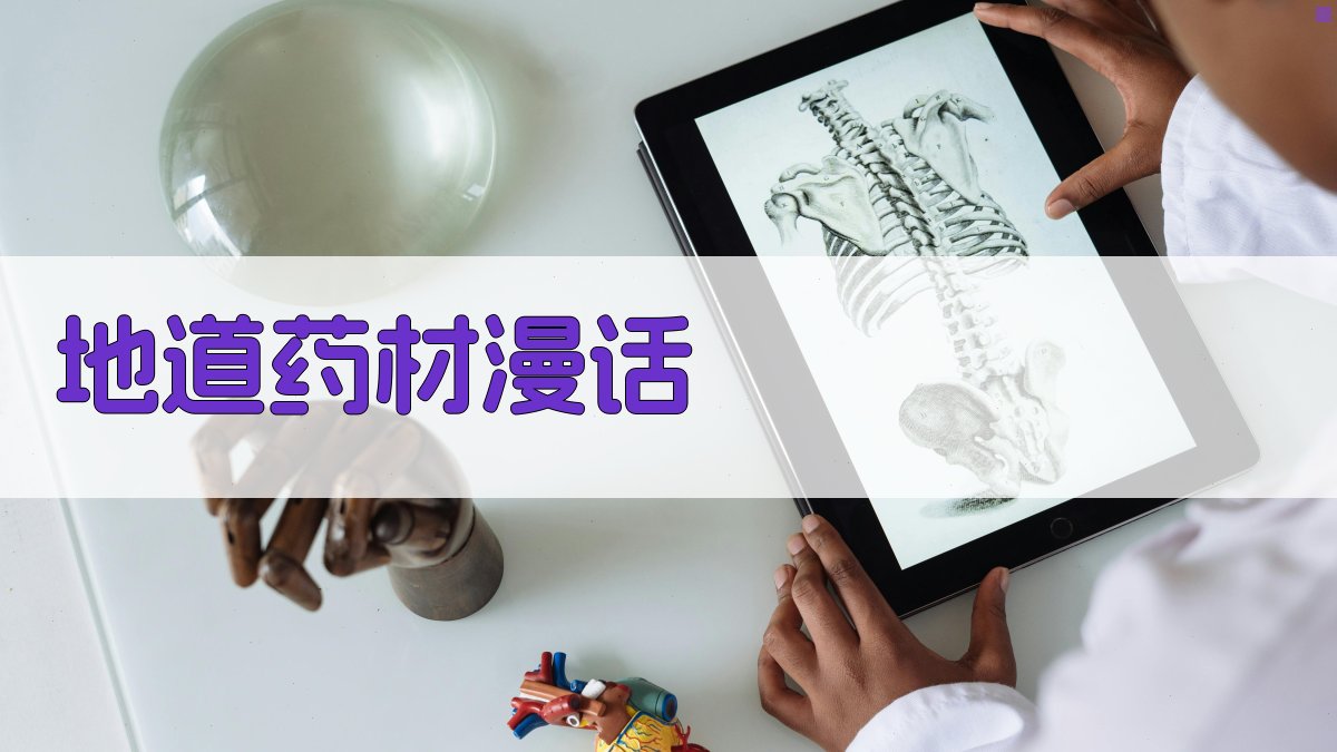 AI一键生成地道药材漫话