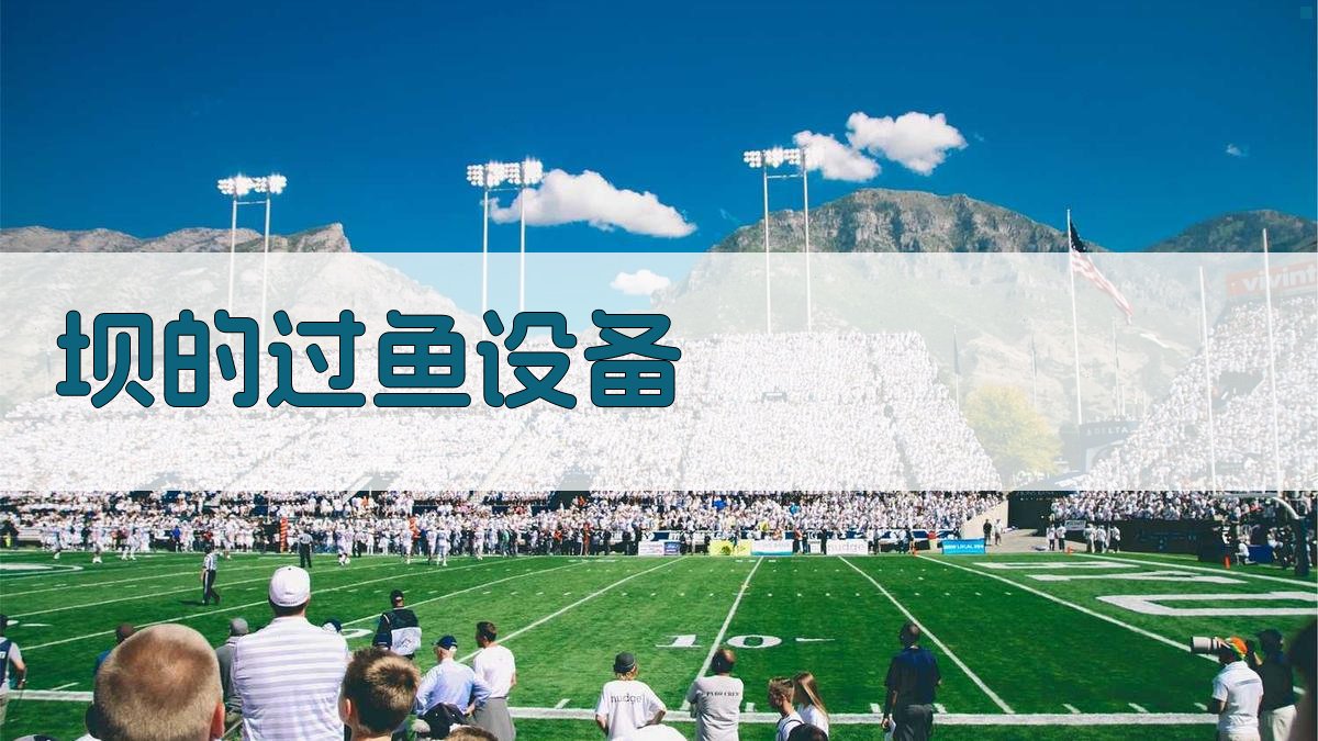 AI智能坝的过鱼设备设计