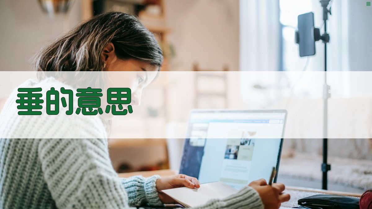垂的意思