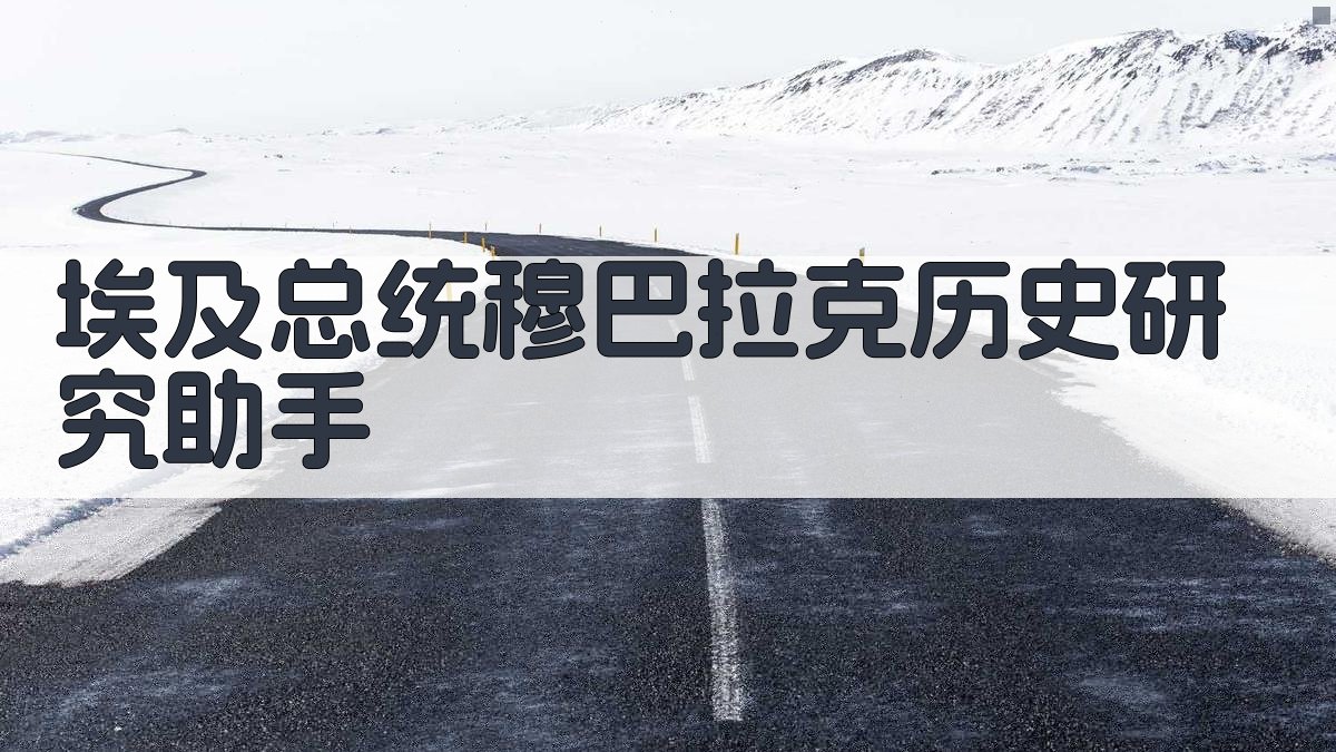 埃及总统穆巴拉克历史研究助手