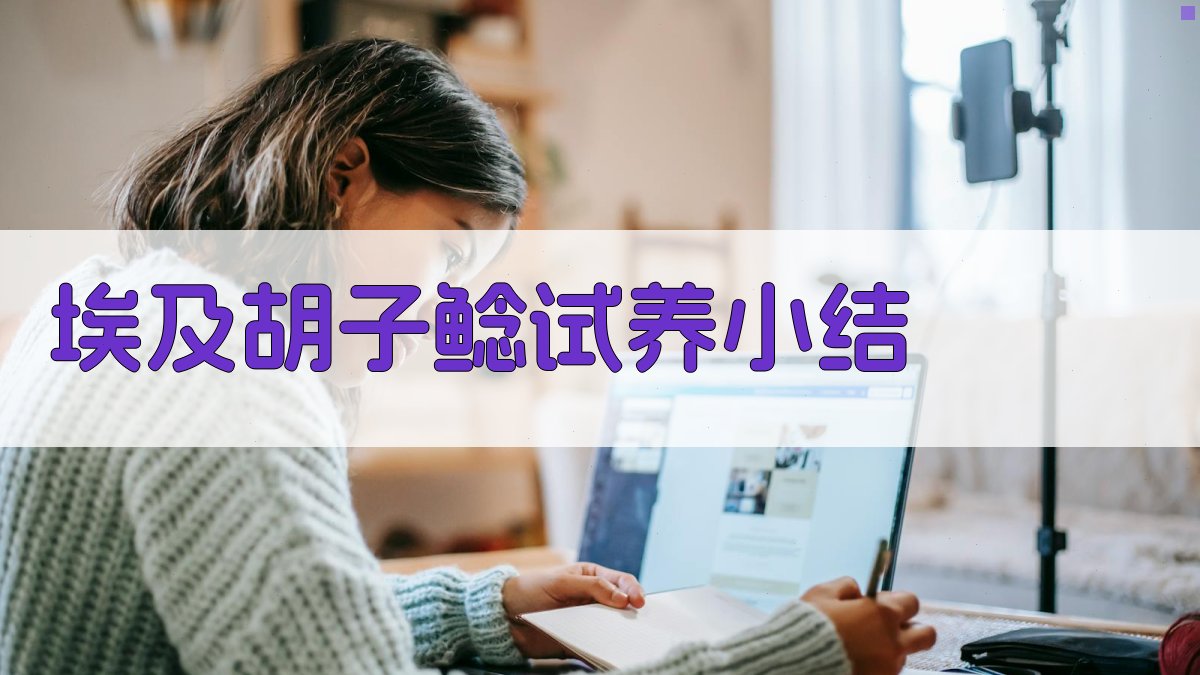 埃及胡子鲶试养小结