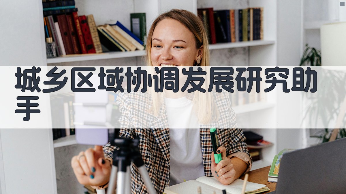 AI城乡协调发展研究助手