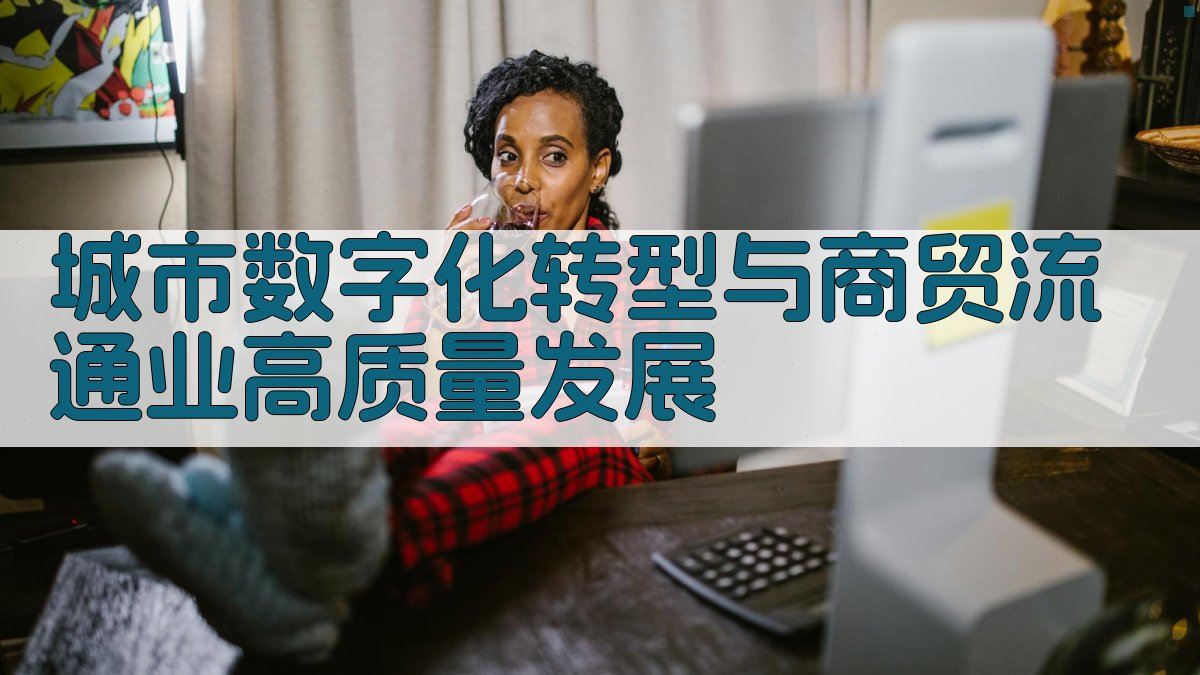 城市数字化转型与商贸流通业高质量发展研究
