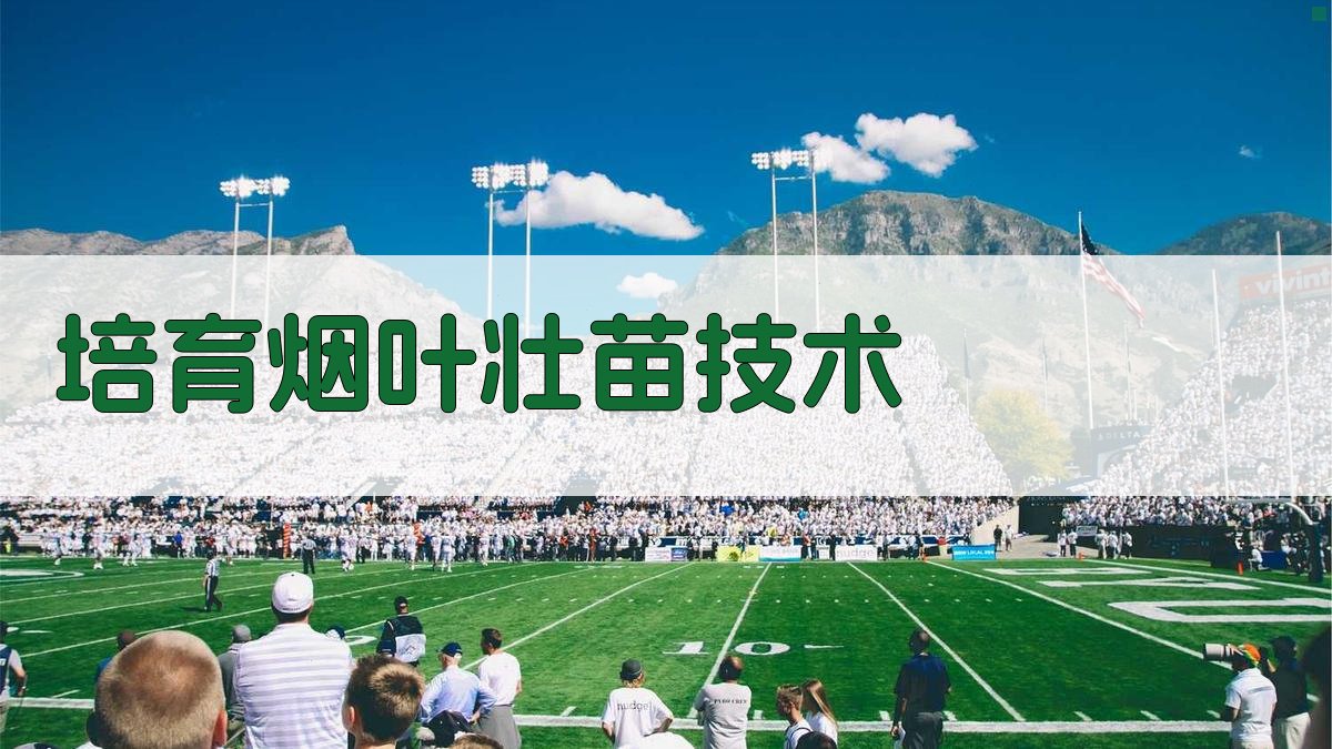 AI培育烟叶壮苗技术