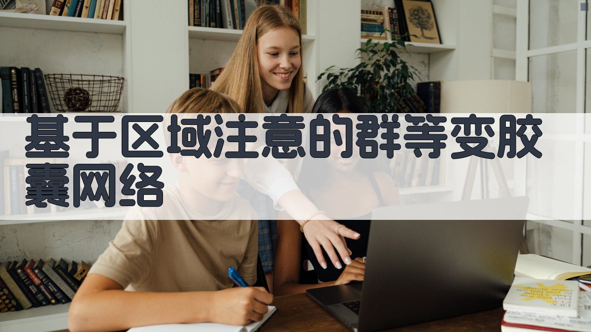 基于区域注意的群等变胶囊网络