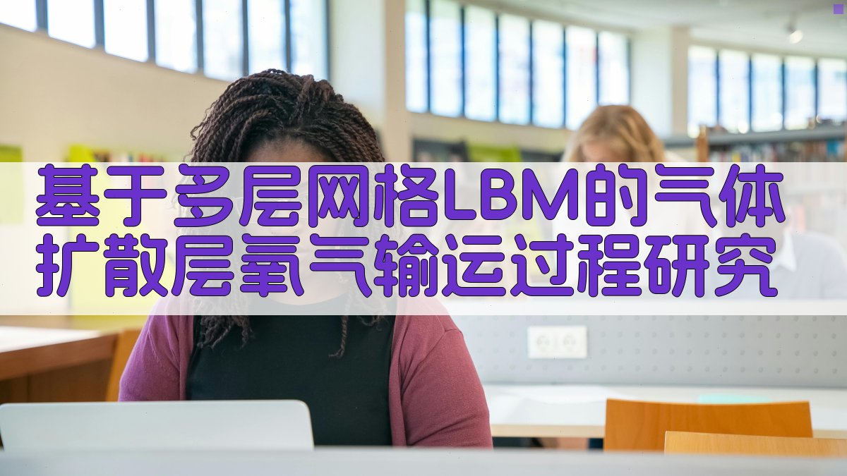 AI多层网格LBM氧气输运分析