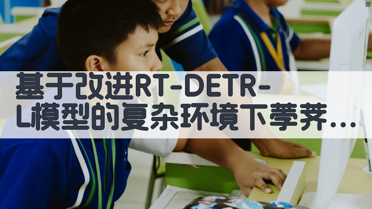 基于改进RT-DETR-L模型的复杂环境下荸荠识别