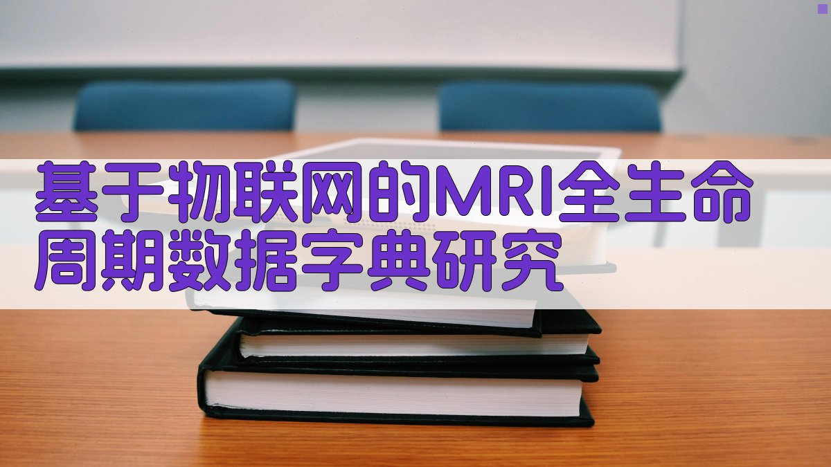 MRI全生命周期数据字典研究